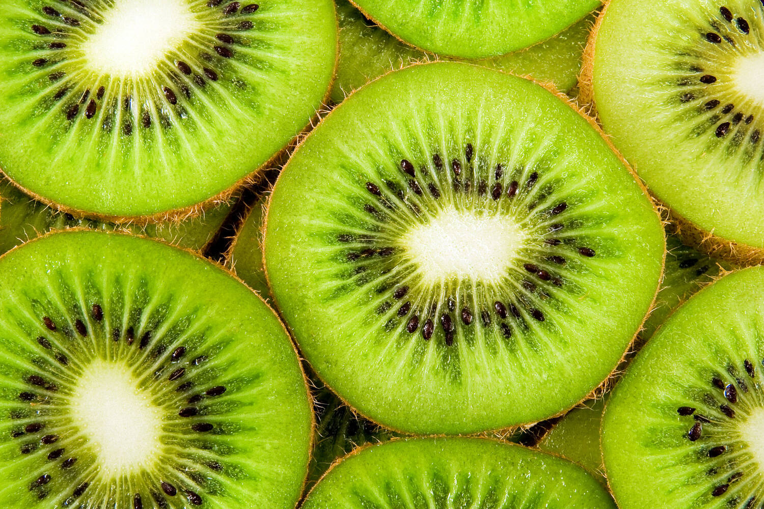 Kiwi green verpakt 6st stuk 3
